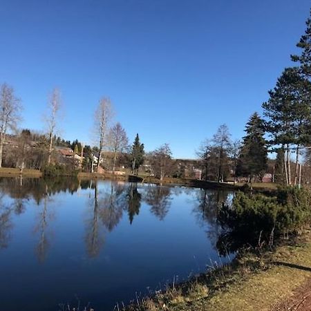 Schoene Ferienwohnung Im Suedschwarzwald Herrischried Exterior foto